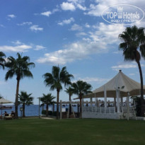 фото из отзыва ID 2561883