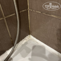 фото из отзыва ID 2561933