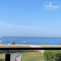 фото из отзыва ID 2562119