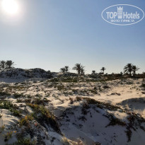 фото из отзыва ID 2562201