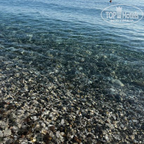 фото из отзыва ID 2562216