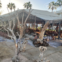 фото из отзыва ID 2562344