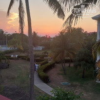 фото из отзыва ID 2562422