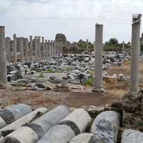 фото из отзыва ID 2562475