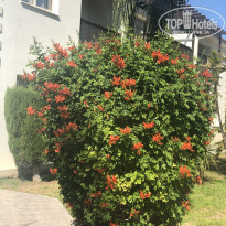 фото из отзыва ID 2562508