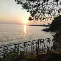 фото из отзыва ID 2562555