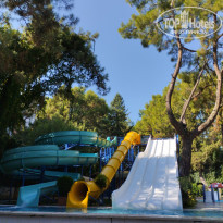 фото из отзыва ID 2562618