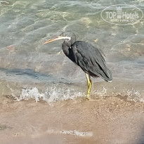 фото из отзыва ID 2562824