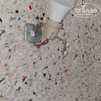 фото из отзыва ID 2563130