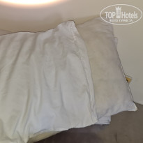 фото из отзыва ID 2563130