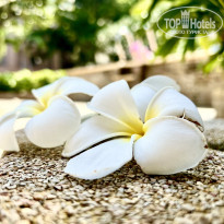 фото из отзыва ID 2563161
