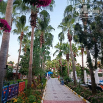 фото из отзыва ID 2563228