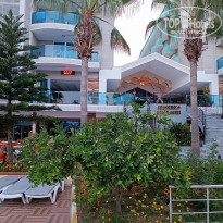 фото из отзыва ID 2563228