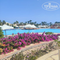 фото из отзыва ID 2563243