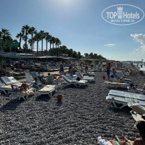 фото из отзыва ID 2563280