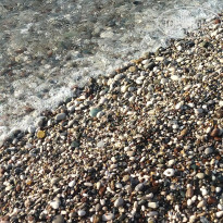 фото из отзыва ID 2563421