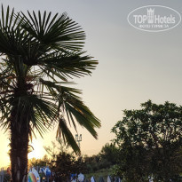 фото из отзыва ID 2563424