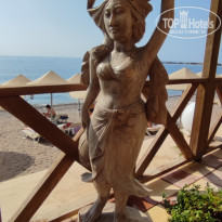 фото из отзыва ID 2563424