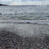 фото из отзыва ID 2563424