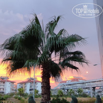 фото из отзыва ID 2563424