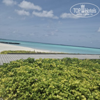 фото из отзыва ID 2563557