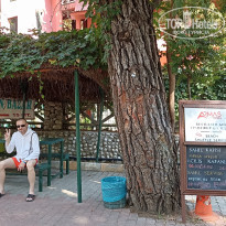 фото из отзыва ID 2562123