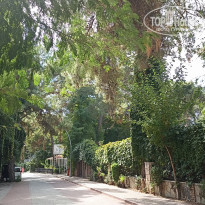 фото из отзыва ID 2562123