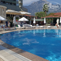 фото из отзыва ID 2562123