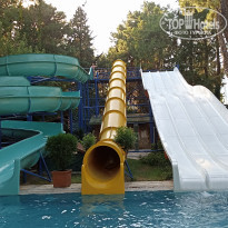 фото из отзыва ID 2562123