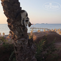 фото из отзыва ID 2562123