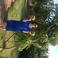 фото из отзыва ID 2563632