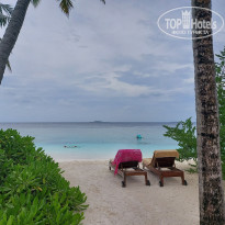 фото из отзыва ID 2563736