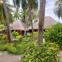 фото из отзыва ID 2563736