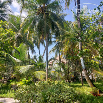 фото из отзыва ID 2563736