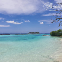 фото из отзыва ID 2563736