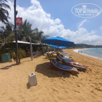 фото из отзыва ID 2563743