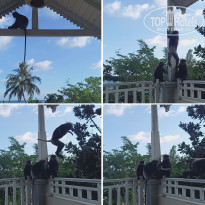 фото из отзыва ID 2563743