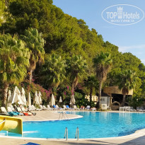 фото из отзыва ID 2563786