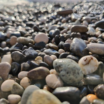 фото из отзыва ID 2563820