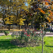 фото из отзыва ID 2563898