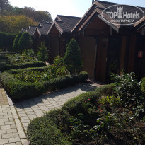 фото из отзыва ID 2563903