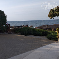 фото из отзыва ID 2563903