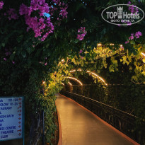 фото из отзыва ID 2563939