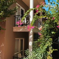 фото из отзыва ID 2563939