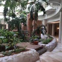 фото из отзыва ID 2563936