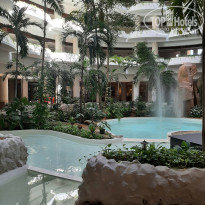 фото из отзыва ID 2563936