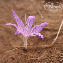 фото из отзыва ID 2564160
