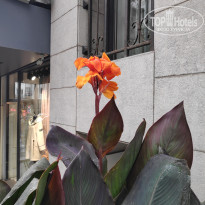 фото из отзыва ID 2564268