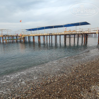 фото из отзыва ID 2564272