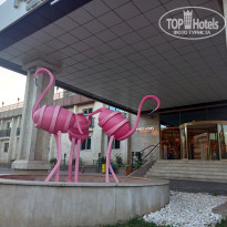 фото из отзыва ID 2564299